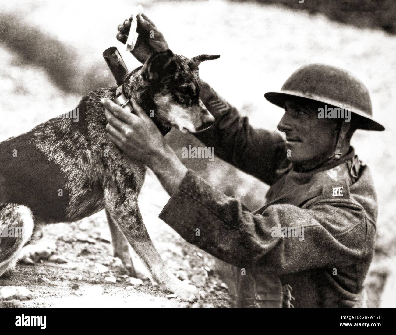 Ein Soldat der Royal Engineers, der im August 1918 eine Mitteilung des 1. Weltkriegs in der französischen Region Nord-Pas-de-Calais sendet. Stockfoto