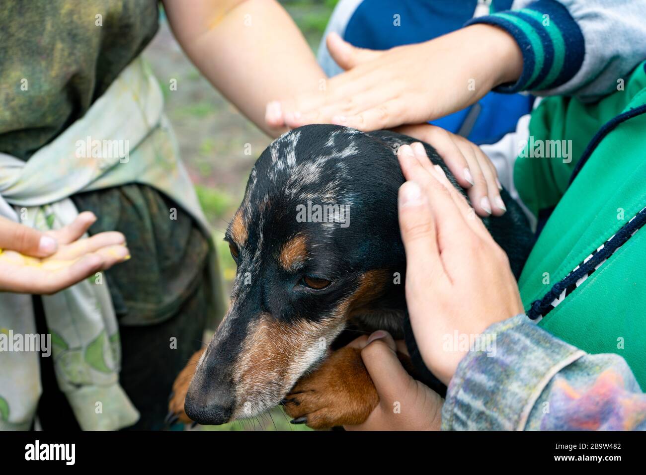 Tscheljabinsk, Russland - JULI 2019. Beim Farbenfest streicheln Kinder den Hund mit den Händen. Der Kopf des Hundes ist mit Farbe verschmiert Stockfoto