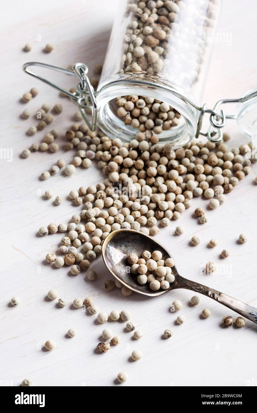 Weiße Paprika im Mixbecher und Löffel auf weißem Hintergrund Stockfoto