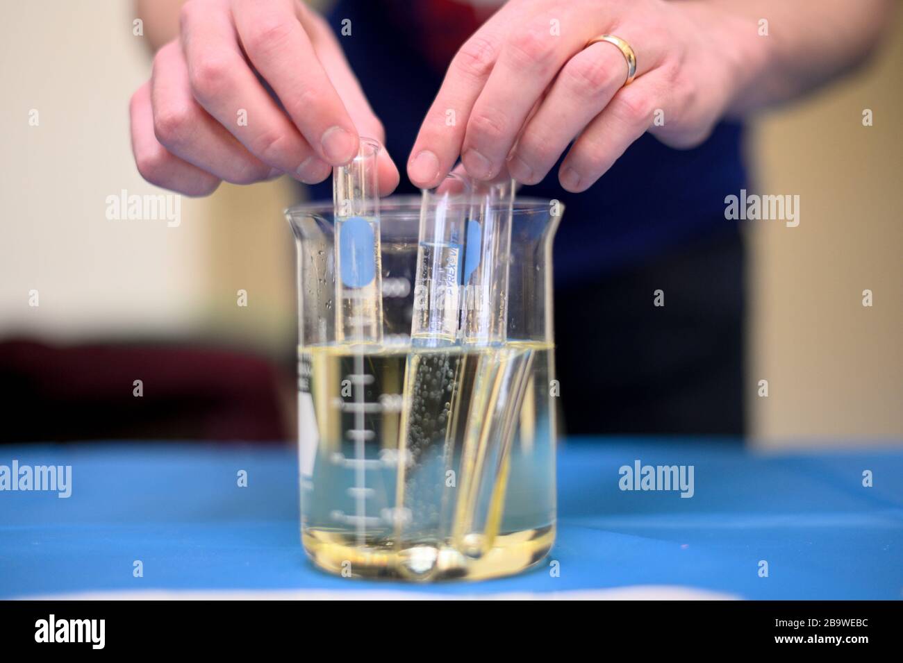 Die Auswirkungen der Brechung zeigen sich in einer praxisnahe STAMM-EXPERIMENT-Demonstration auf dem Wissenschaftsfestival. Stockfoto