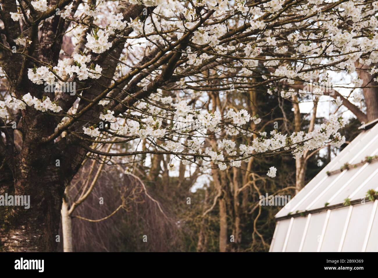 Cardiff, Wales. März 2020. Cardiff City Council hat den Spielbereich der Kinder im Roath Park aufgrund der Zunahme von COVID-19 geschlossen Stockfoto
