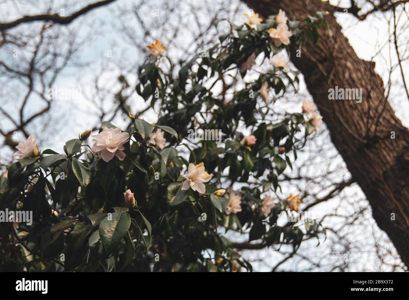 Cardiff, Wales. März 2020. Cardiff City Council hat den Spielbereich der Kinder im Roath Park aufgrund der Zunahme von COVID-19 geschlossen Stockfoto