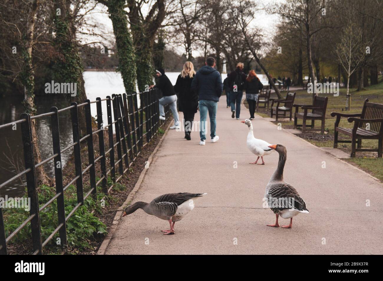 Cardiff, Wales. März 2020. Cardiff City Council hat den Spielbereich der Kinder im Roath Park aufgrund der Zunahme von COVID-19 geschlossen Stockfoto