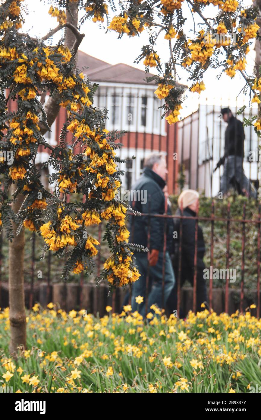 Cardiff, Wales. März 2020. Cardiff City Council hat den Spielbereich der Kinder im Roath Park aufgrund der Zunahme von COVID-19 geschlossen Stockfoto