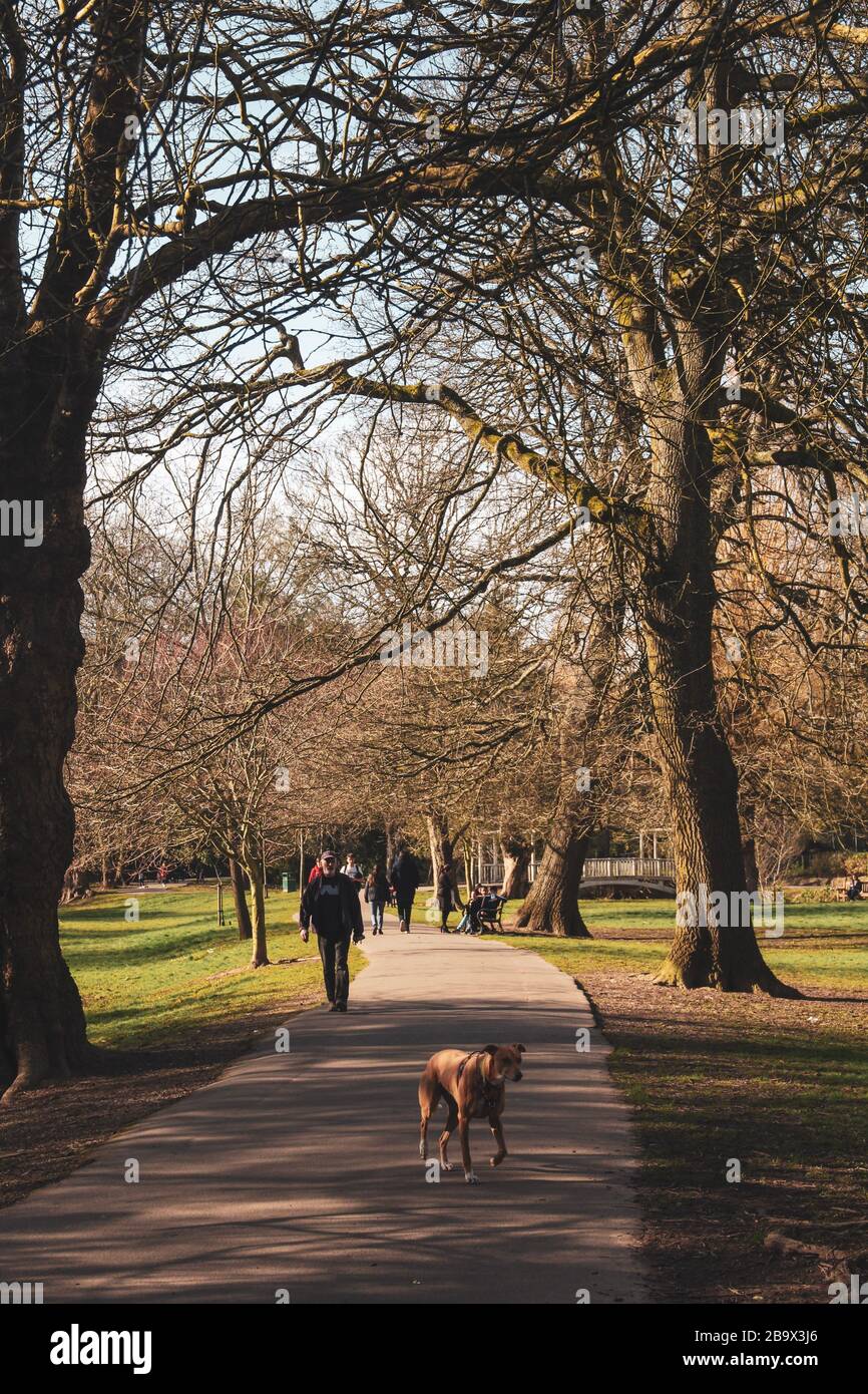 Cardiff, Wales. März 2020. Cardiff City Council hat den Spielbereich der Kinder im Roath Park aufgrund der Zunahme von COVID-19 geschlossen Stockfoto