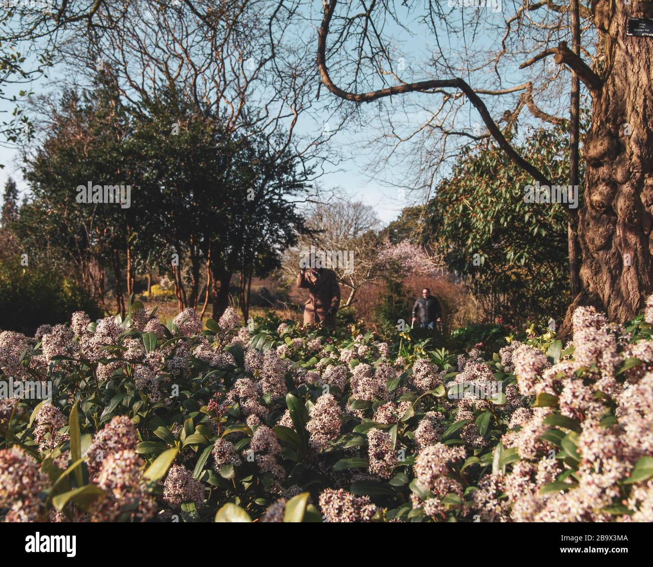 Cardiff, Wales. März 2020. Cardiff City Council hat den Spielbereich der Kinder im Roath Park aufgrund der Zunahme von COVID-19 geschlossen Stockfoto
