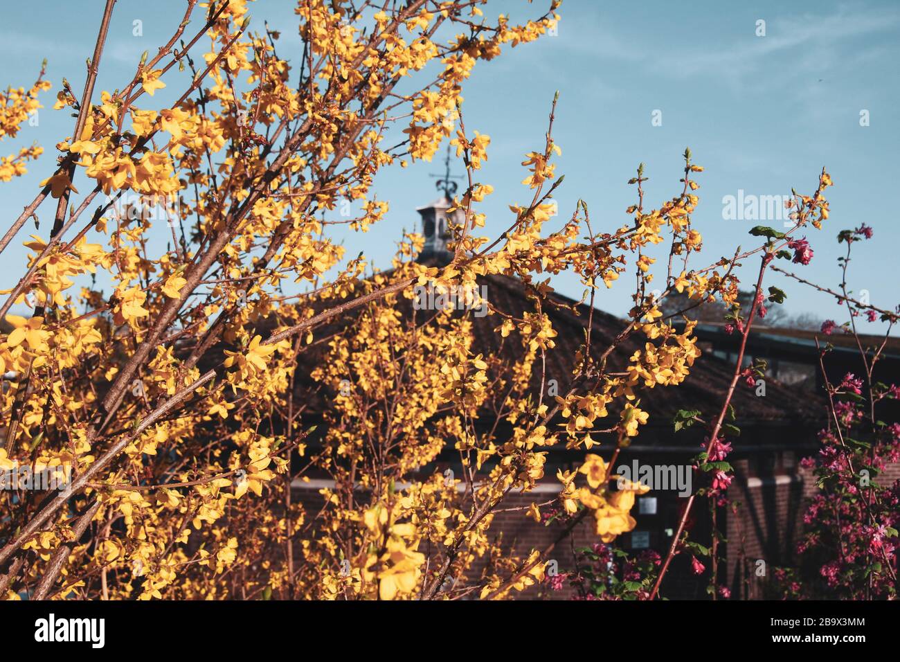 Cardiff, Wales. März 2020. Cardiff City Council hat den Spielbereich der Kinder im Roath Park aufgrund der Zunahme von COVID-19 geschlossen Stockfoto
