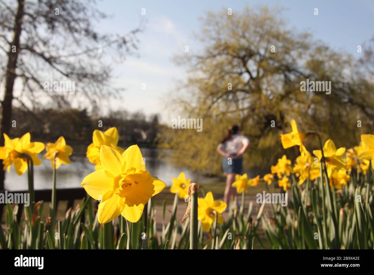 Cardiff, Wales. März 2020. Cardiff City Council hat den Spielbereich der Kinder im Roath Park aufgrund der Zunahme der COVID-19-Fälle in einem Angebot geschlossen Stockfoto