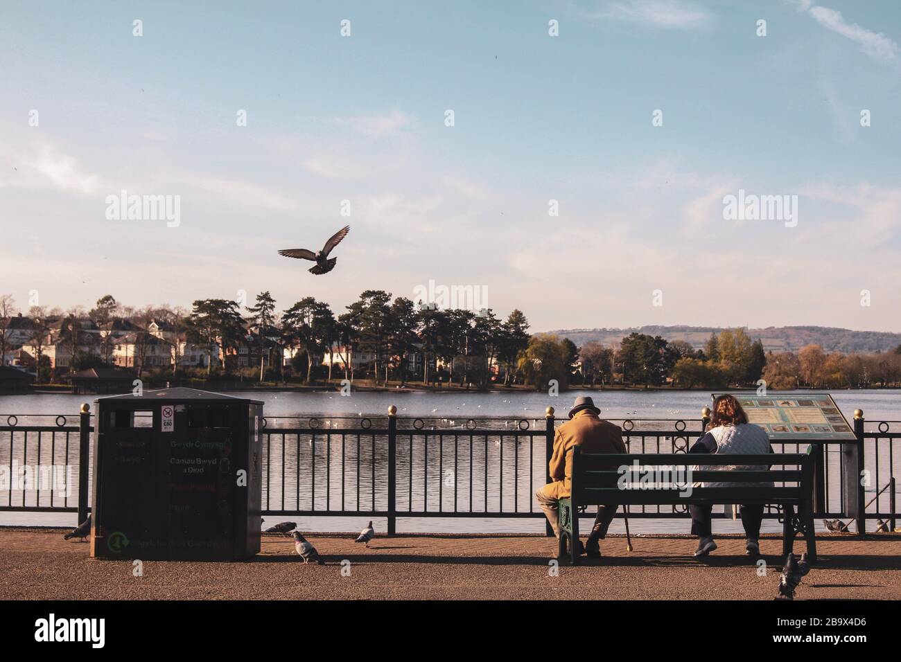 Cardiff, Wales. März 2020. Cardiff-Parks bleiben während der Sperrung in Großbritannien geöffnet. Abgebildet ist der Roath Park Stockfoto