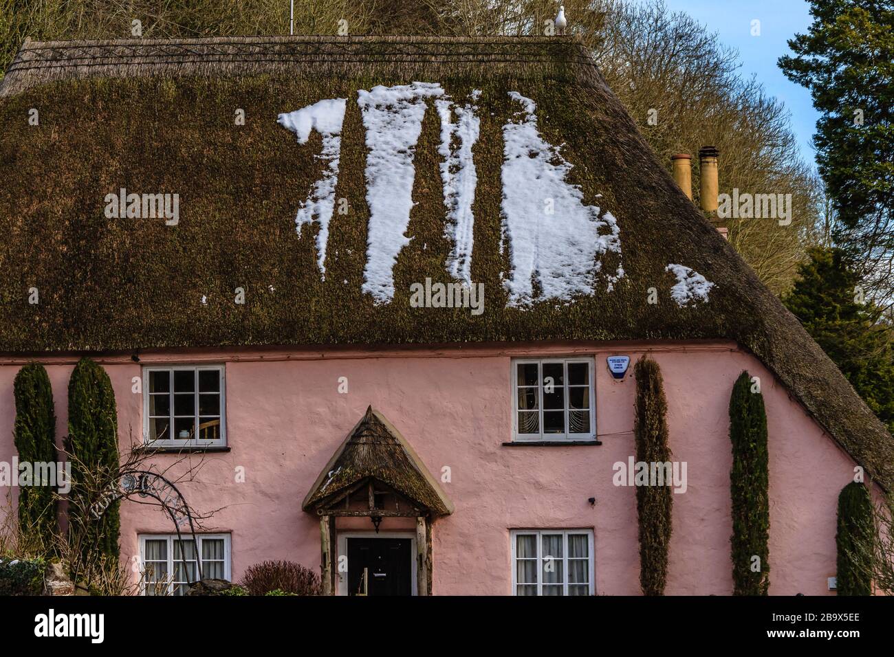 Rose Cottage im Cockington Country Park, in der Nähe von Torquay, Devon, Großbritannien. März 2018. Stockfoto