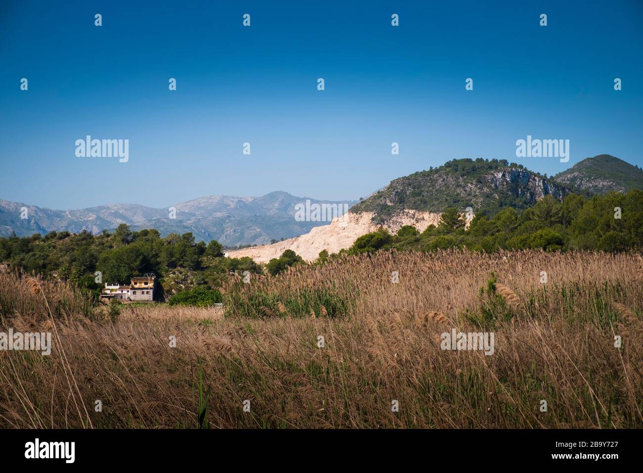 Landschaft am Marjal in Font Salada, Oliva, Spanien Stockfoto