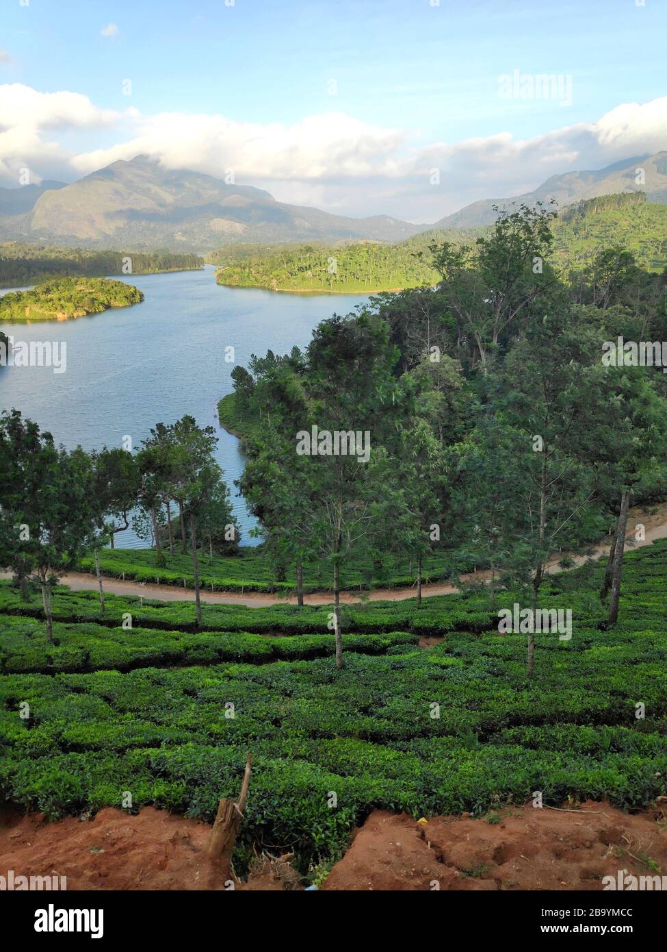 Eine schöne Landschaft mit einer Teeplantage und einem Wasserkörper in Munnar, Kerala, Indien Stockfoto