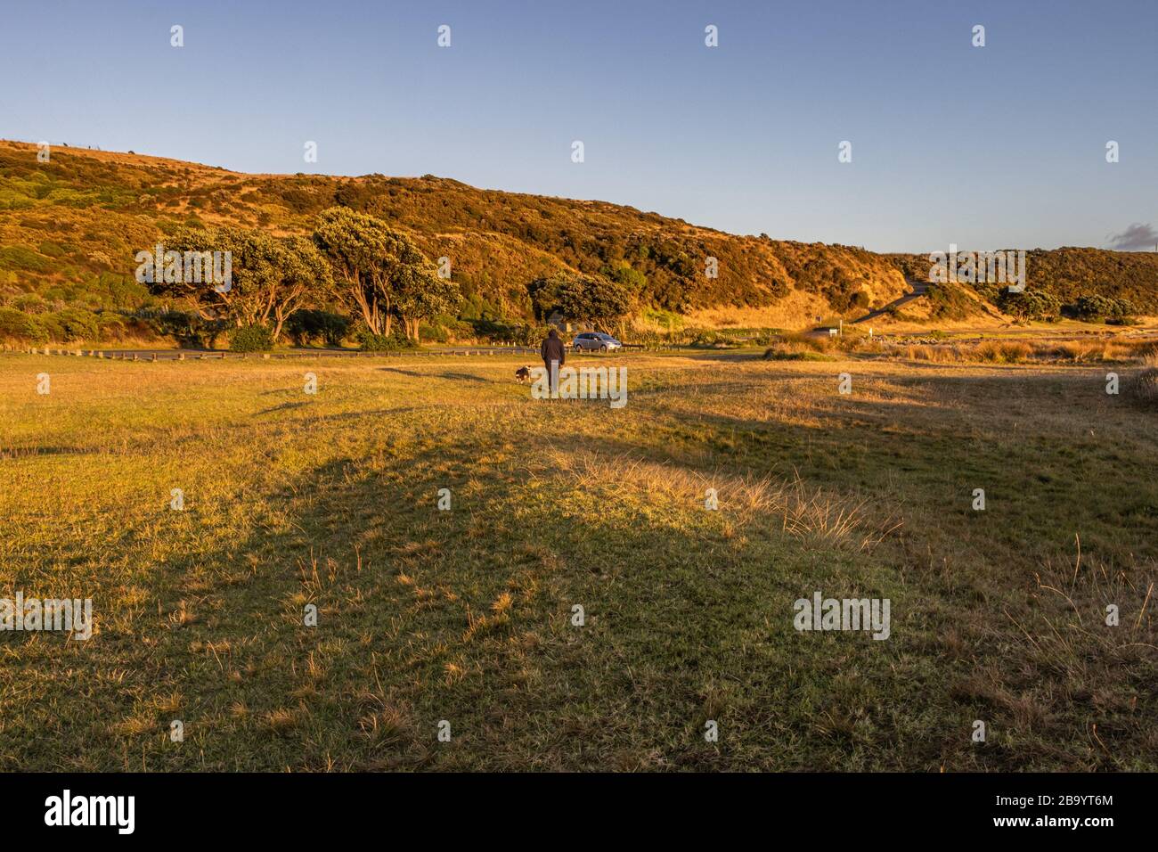 Der letzte Spaziergang im Whitireia Park vor dem Nationallokikdown Stockfoto