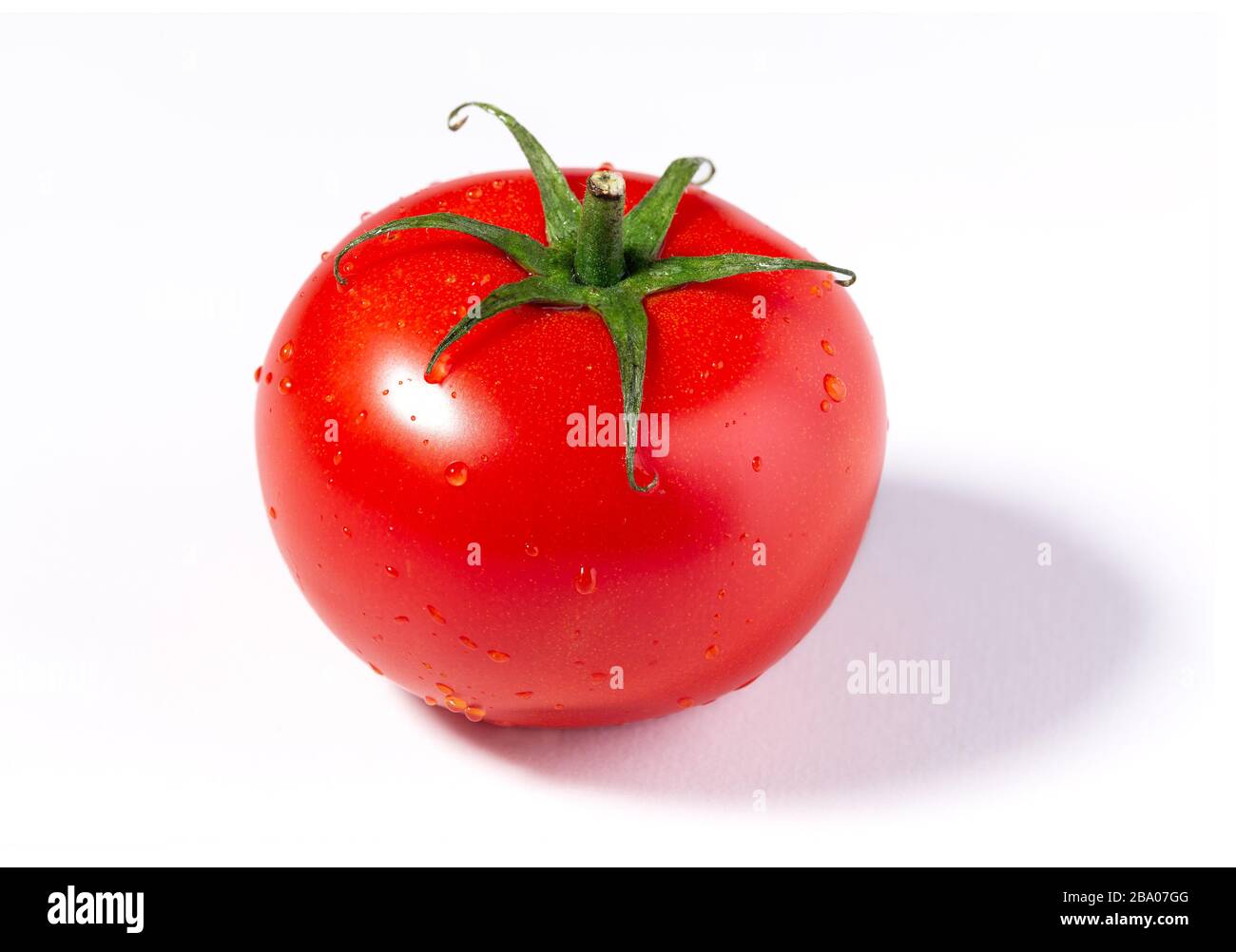 Einzelne reife, aus dem Gewächshaus gewachsene Tomate auf weißem Hintergrund mit Kopierraum Stockfoto