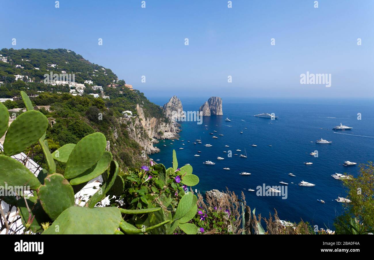 Capri Insel, Neapel, Kampanien, Italien, Europa. Stockfoto