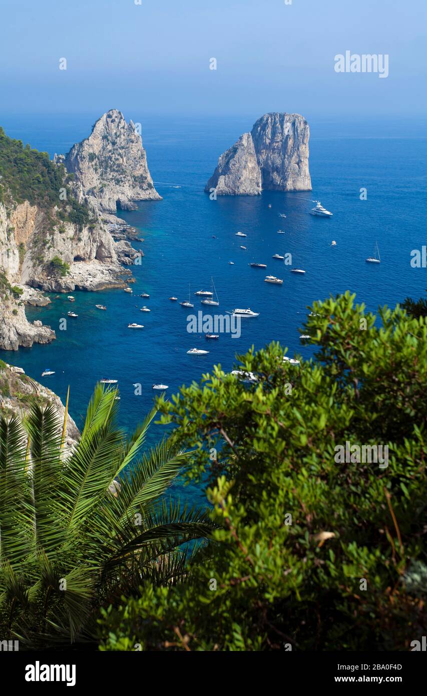Capri Insel, Neapel, Kampanien, Italien, Europa. Stockfoto