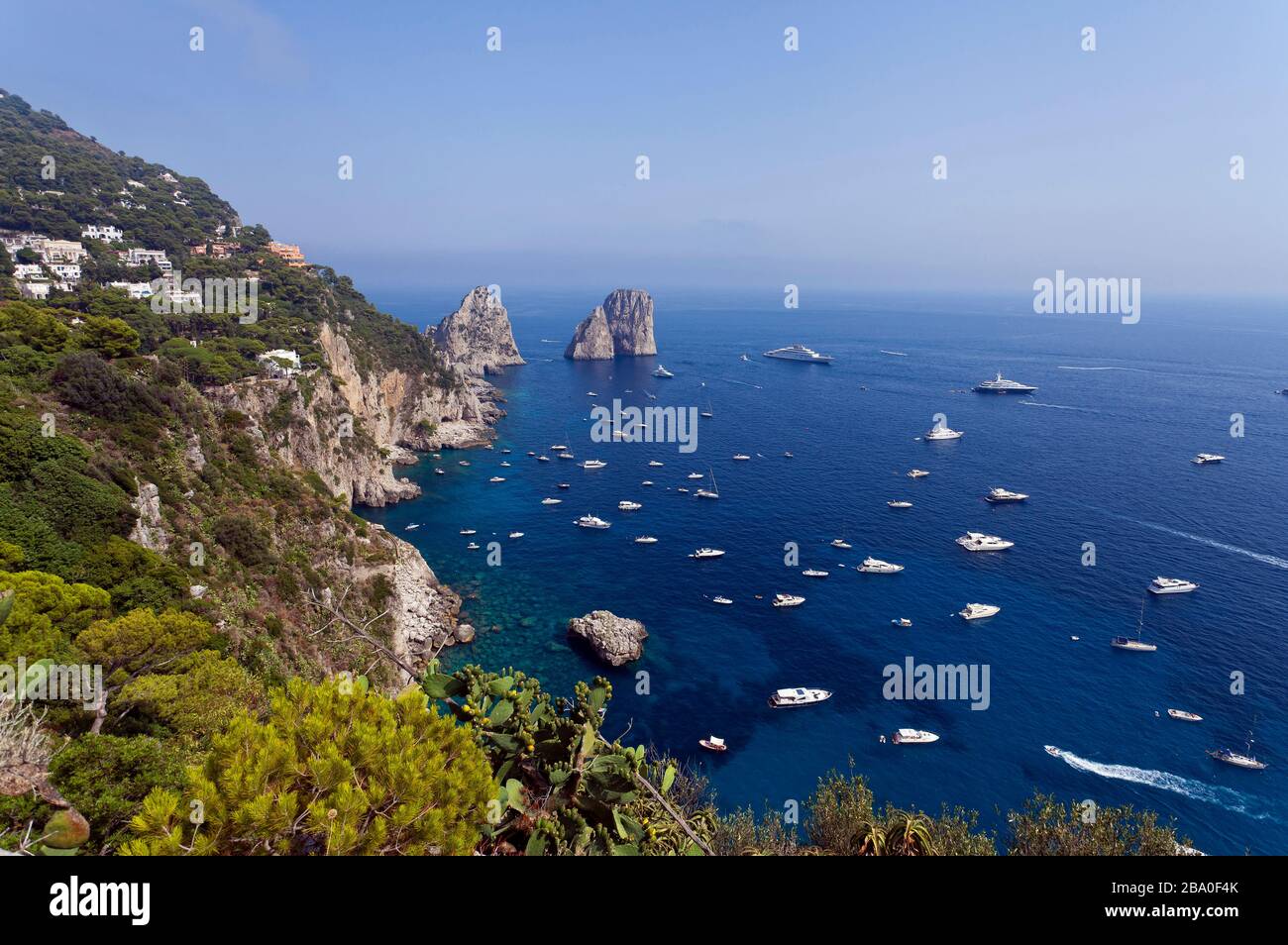 Capri Insel, Neapel, Kampanien, Italien, Europa. Stockfoto