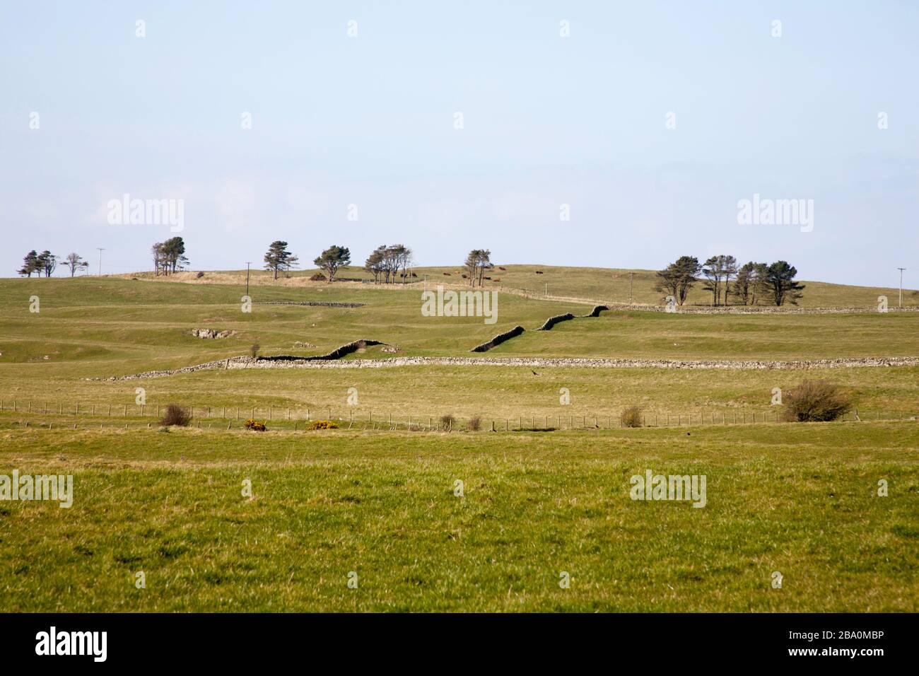 Felder rund um das Dorf Borgue in der Nähe von Kirkcudbright Dumfries und Galloway Schottland Stockfoto