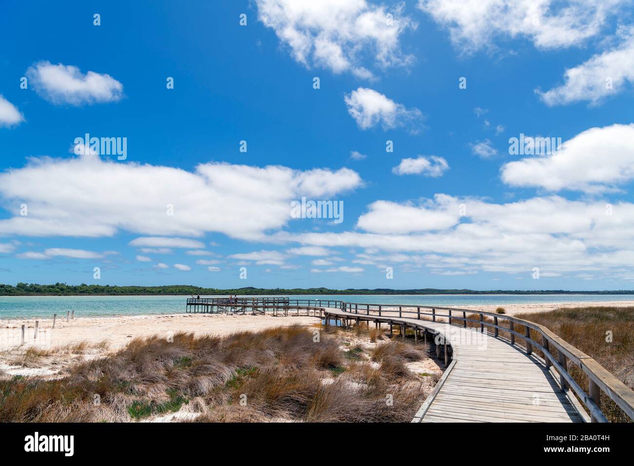 Boardwalk am Lake Clifton, Ort alter Thrombolite, Yalgorup-Nationalpark, Western Australia, Australien Stockfoto