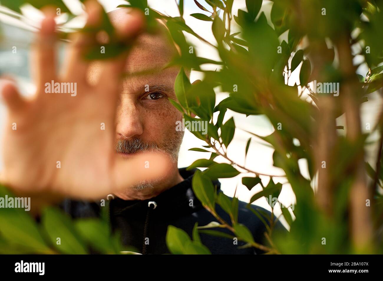 Musikkünstler, Produzent und Tierrechtler Moby in seinem Restaurant Little Pine in Los Angeles, Kalifornien. Stockfoto