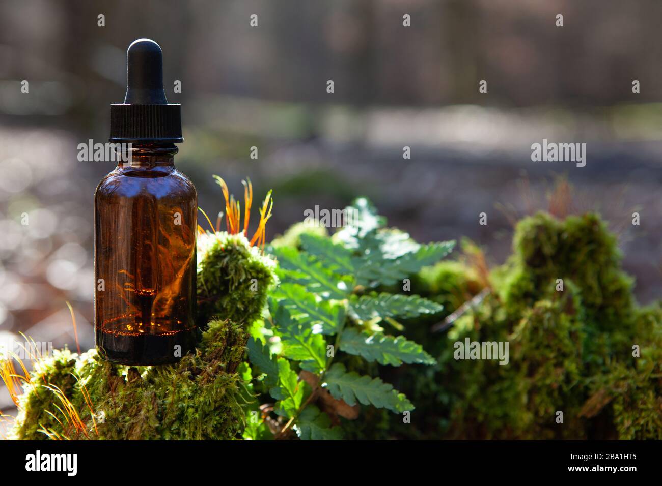 Homöopathische Medikamente und Flaschen auf Grün. Spa-Zusammensetzung mit frischen Kräutern Stockfoto