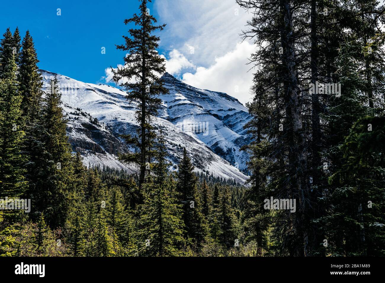 Kanada – British Columbia Stockfoto