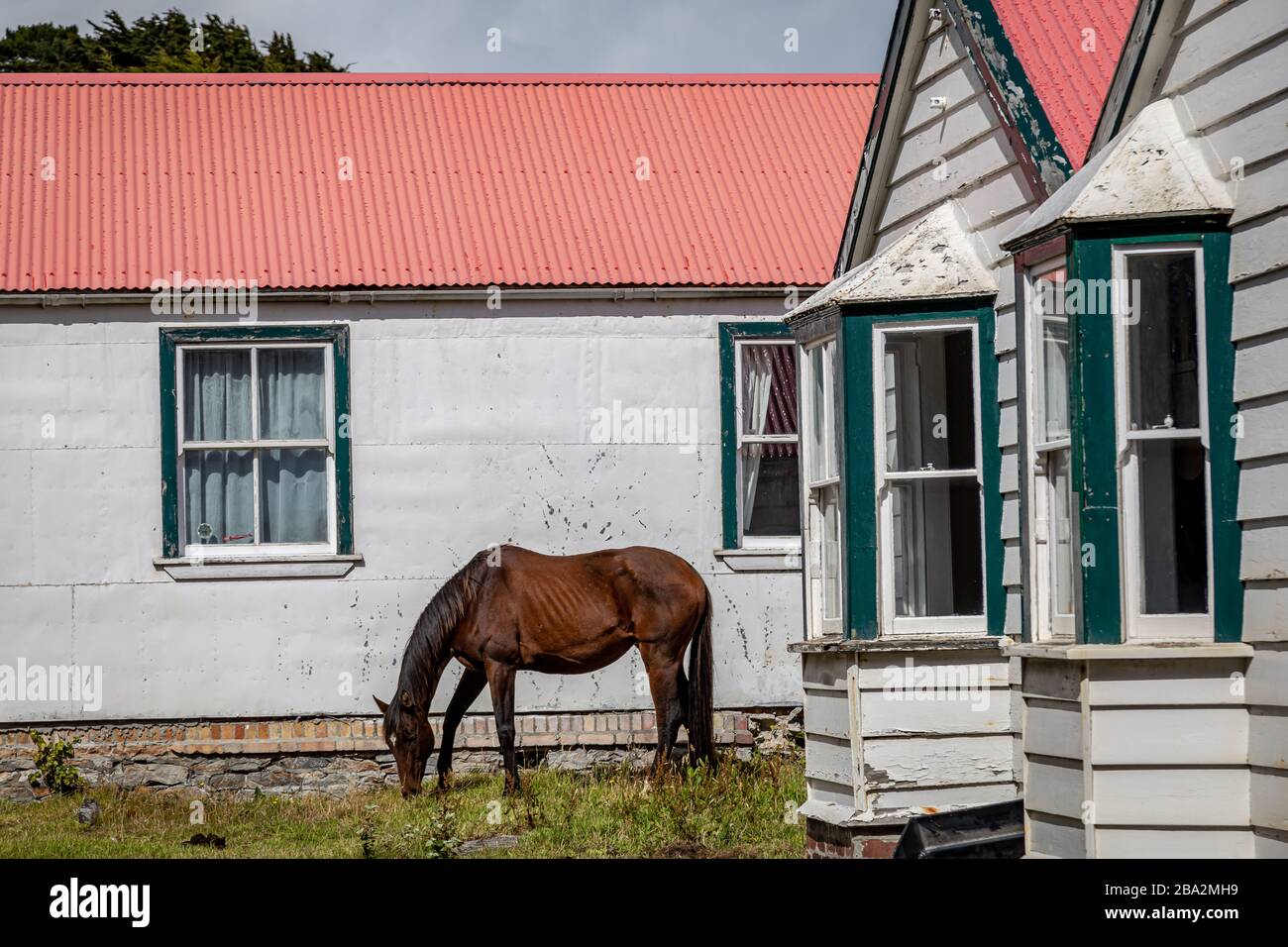 Falklandinseln Szenen Stockfoto