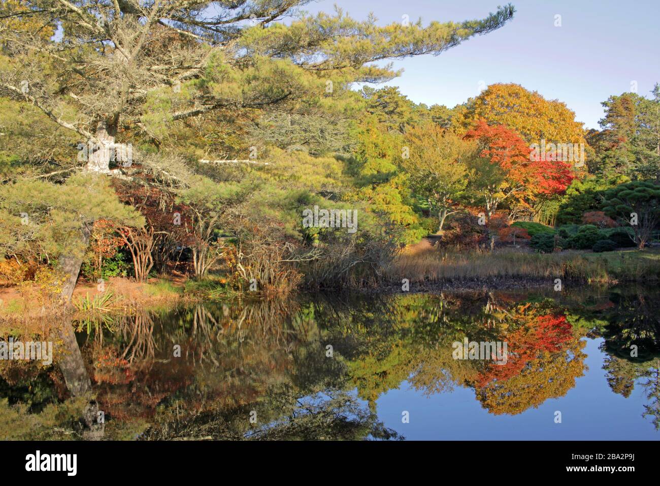 Gärten im japanischen Stil von Mytoi, Chappaquiddick, Martha's Vineyard, Massachusetts, USA Stockfoto