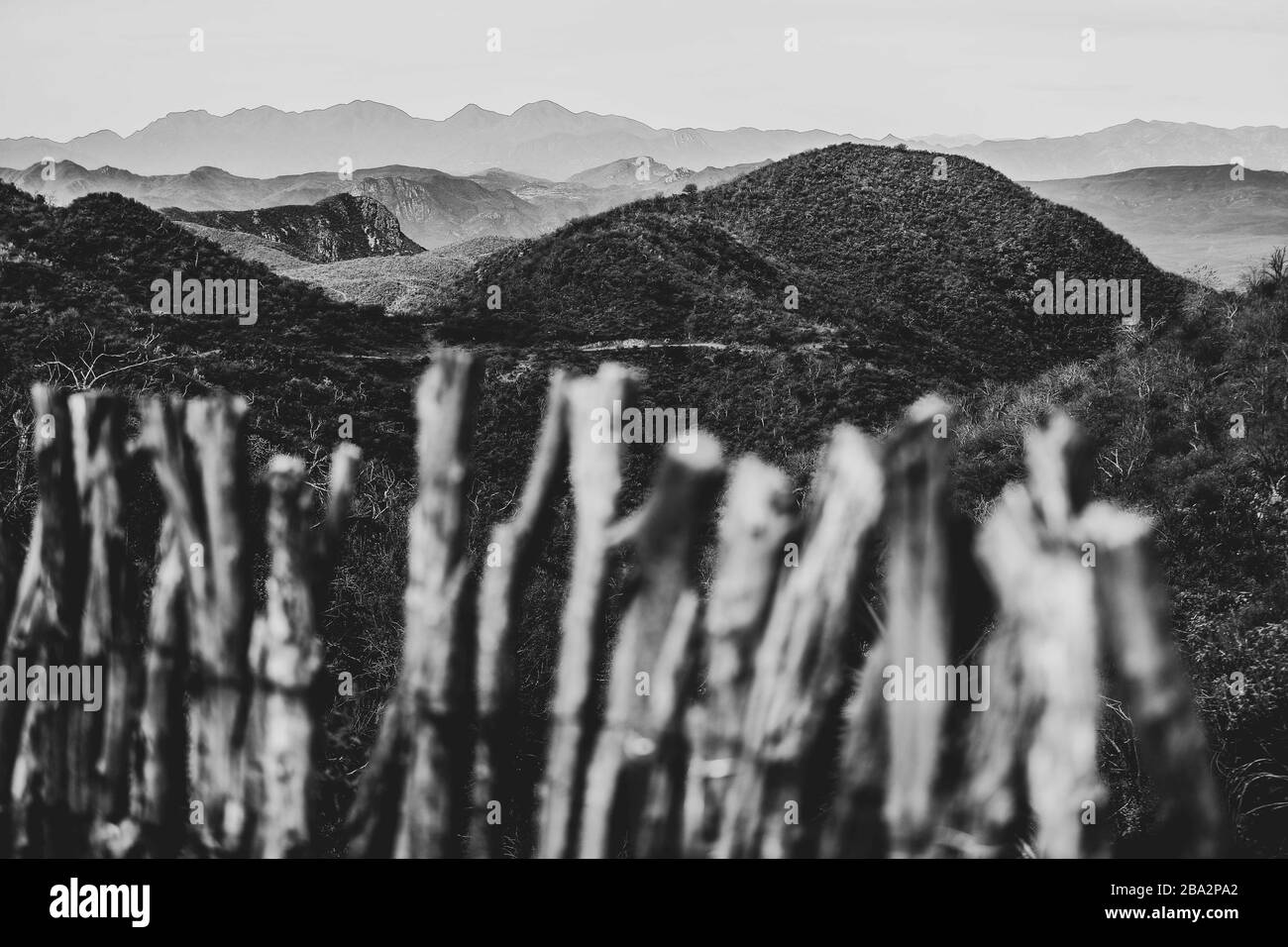 Landschaft der Sierra Lampazos in Tepache, Sonora. Sierra de Sonora Mexiko. Hügel und Berge. Sierra liegt im zentralen Teil des Bundesstaates Sonora, 300 Kilometer von der Grenze zu den Vereinigten Staaten in Agua Prieta entfernt. Es ist auch 250 Kilometer von der Landeshauptstadt Hermosillo entfernt. 1.500 Meter über dem Meeresspiegel. Sie grenzt im Norden an Divisaderos und Moctezuma, im Osten an Nácori Chico, im Süden an Sahuaripa und im Südwesten an San Pedro de la Cueva. Holzzaun, Brennholzzaun, trockener Stamm, Ranch-Zaun, Protrero-Zaun, Ranch-Korral. Cerco de madera, Cerco de leña, tronco seco, cerco de Stockfoto