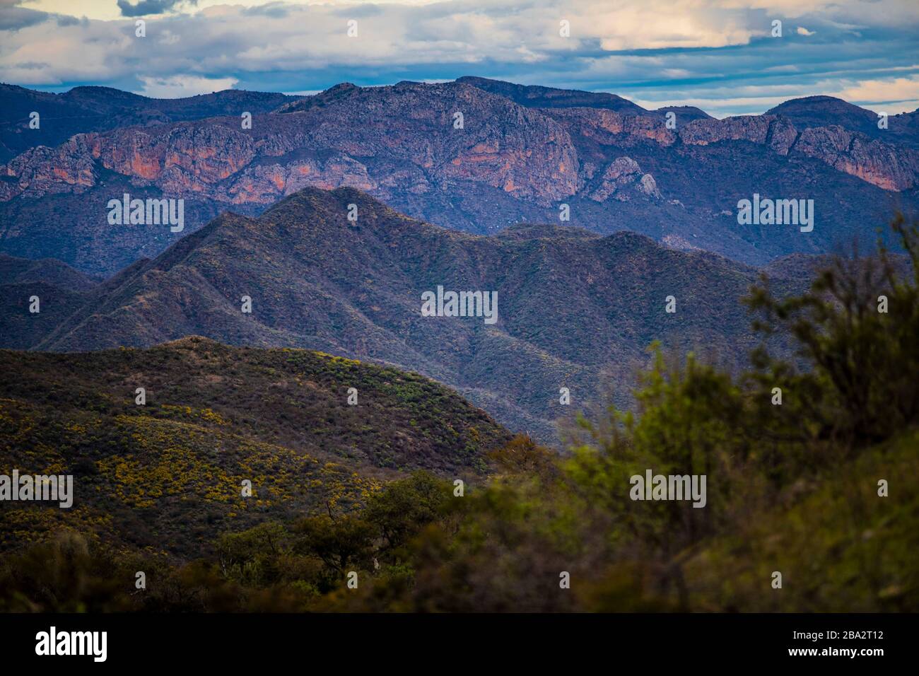 Landschaft der Sierra Lampazos in Tepache, Sonora. Sierra de Sonora Mexiko. Hügel und Berge. Sierra liegt im zentralen Teil des Bundesstaates Sonora, 300 Kilometer von der Grenze zu den Vereinigten Staaten in Agua Prieta entfernt. Es ist auch 250 Kilometer von der Landeshauptstadt Hermosillo entfernt. 1.500 Meter über dem Meeresspiegel. Sie grenzt im Norden an Divisaderos und Moctezuma, im Osten an Nácori Chico, im Süden an Sahuaripa und im Südwesten an San Pedro de la Cueva. Berggipfel, cima de la montaña, (Foto von Luis Gutierrez / NortePhoto.com) Paisaje de la Sierra Lampasos en Tepache, Sonora. Stockfoto