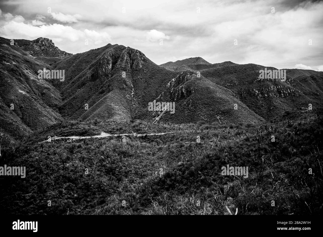 Landschaft der Sierra Lampazos in Tepache, Sonora. Sierra de Sonora Mexiko. Hügel und Berge. Sierra liegt im zentralen Teil des Bundesstaates Sonora, 300 Kilometer von der Grenze zu den Vereinigten Staaten in Agua Prieta entfernt. Es ist auch 250 Kilometer von der Landeshauptstadt Hermosillo entfernt. 1.500 Meter über dem Meeresspiegel. Sie grenzt im Norden an Divisaderos und Moctezuma, im Osten an Nácori Chico, im Süden an Sahuaripa und im Südwesten an San Pedro de la Cueva. (Foto von Luis Gutierrez / NortePhoto.com) Paisaje de la Sierra Lampasos en Tepache, Sonora. Sierra de Sonora Mexiko. Cerros y montaña Stockfoto