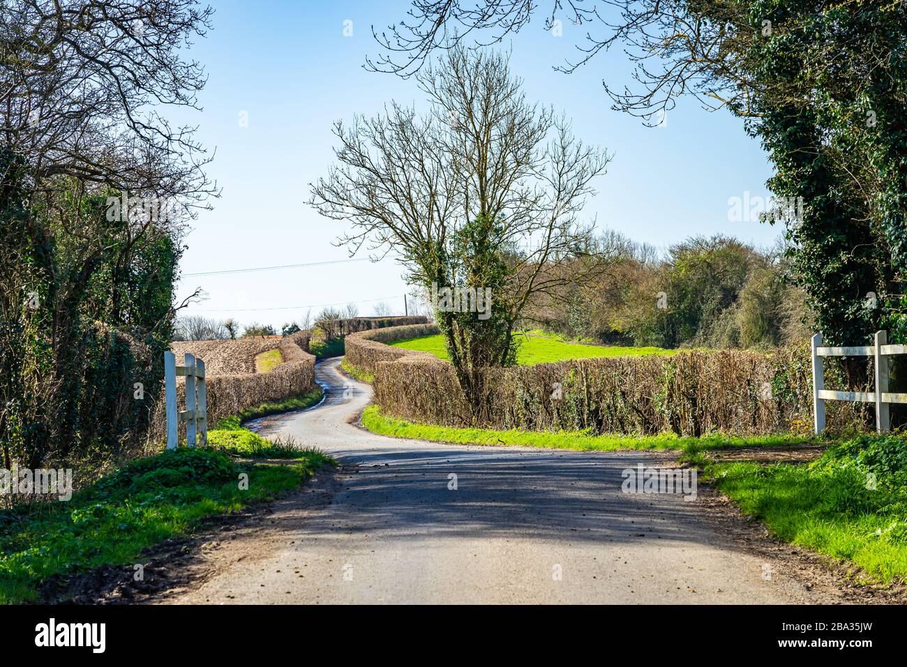 Uralte Landstraße mit Kurven und Wendungen mit Hecken entlang der Eitherside in der Nähe von Barcombe Sussex UK Stockfoto