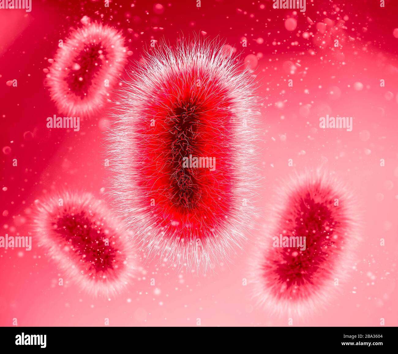 Bakterien sind eine Art biologischer Zelle. Mikroorganismen, Duplizierung und Vermehrung. Bildung von Bakterien und Mikroorganismen unter einem Mikroskop Stockfoto