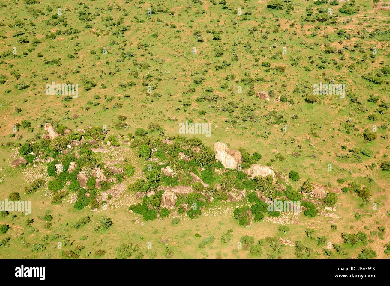 Ein Kopje in der Nähe von Serengeti (Luftbild) Stockfoto
