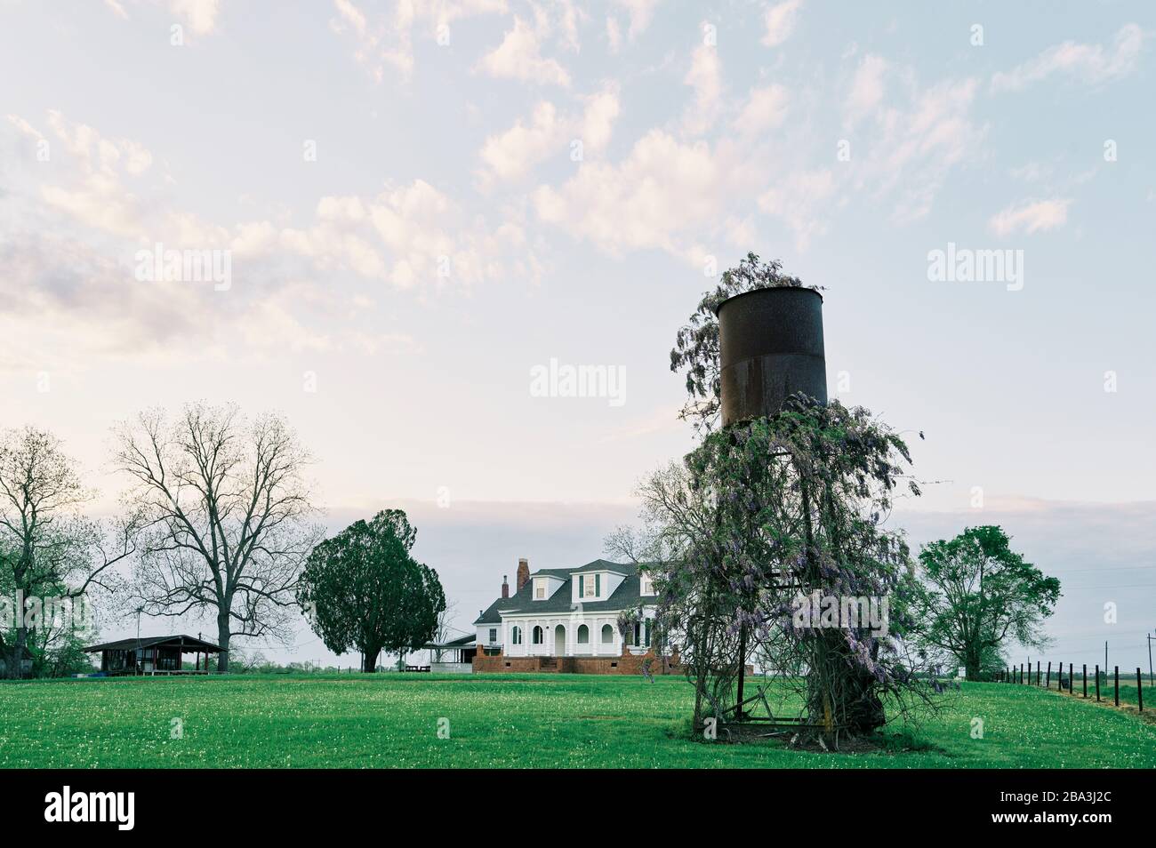 Wilde Wisteria, Hygrophila difformis, wächst auf einem alten rustikalen und rostigen Wasserturm auf einer Farm im ländlichen Alabama, USA. Stockfoto