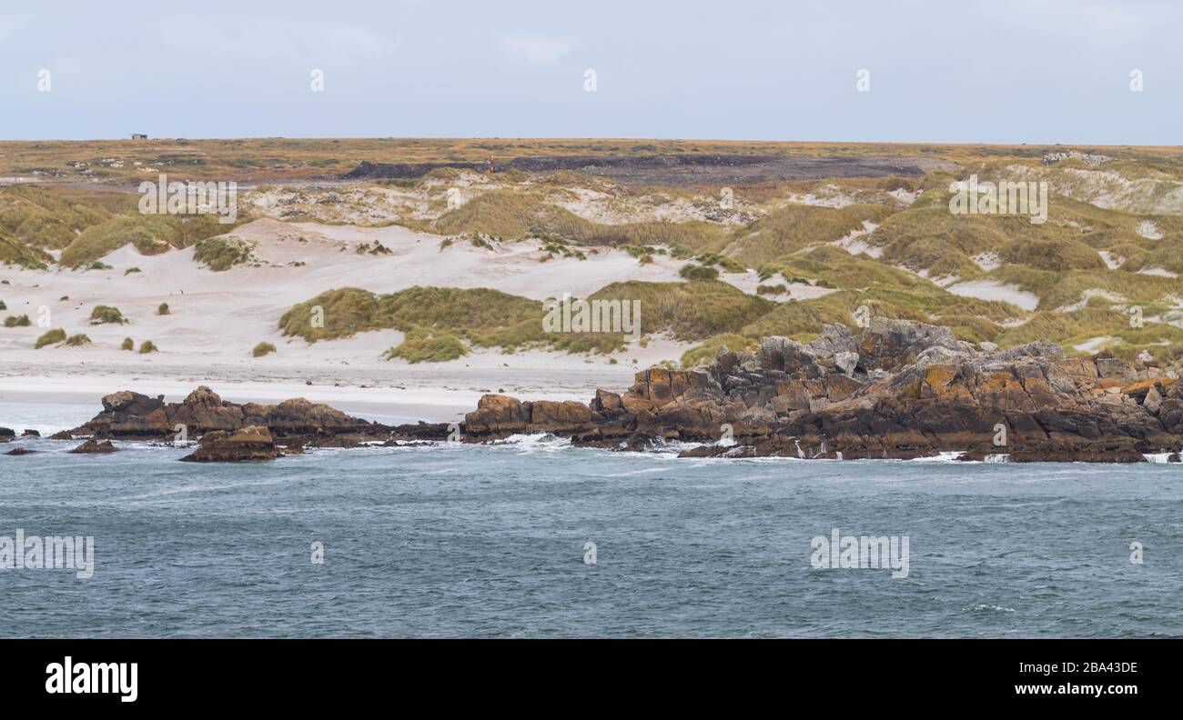 Küste der Falklandinseln Stockfoto