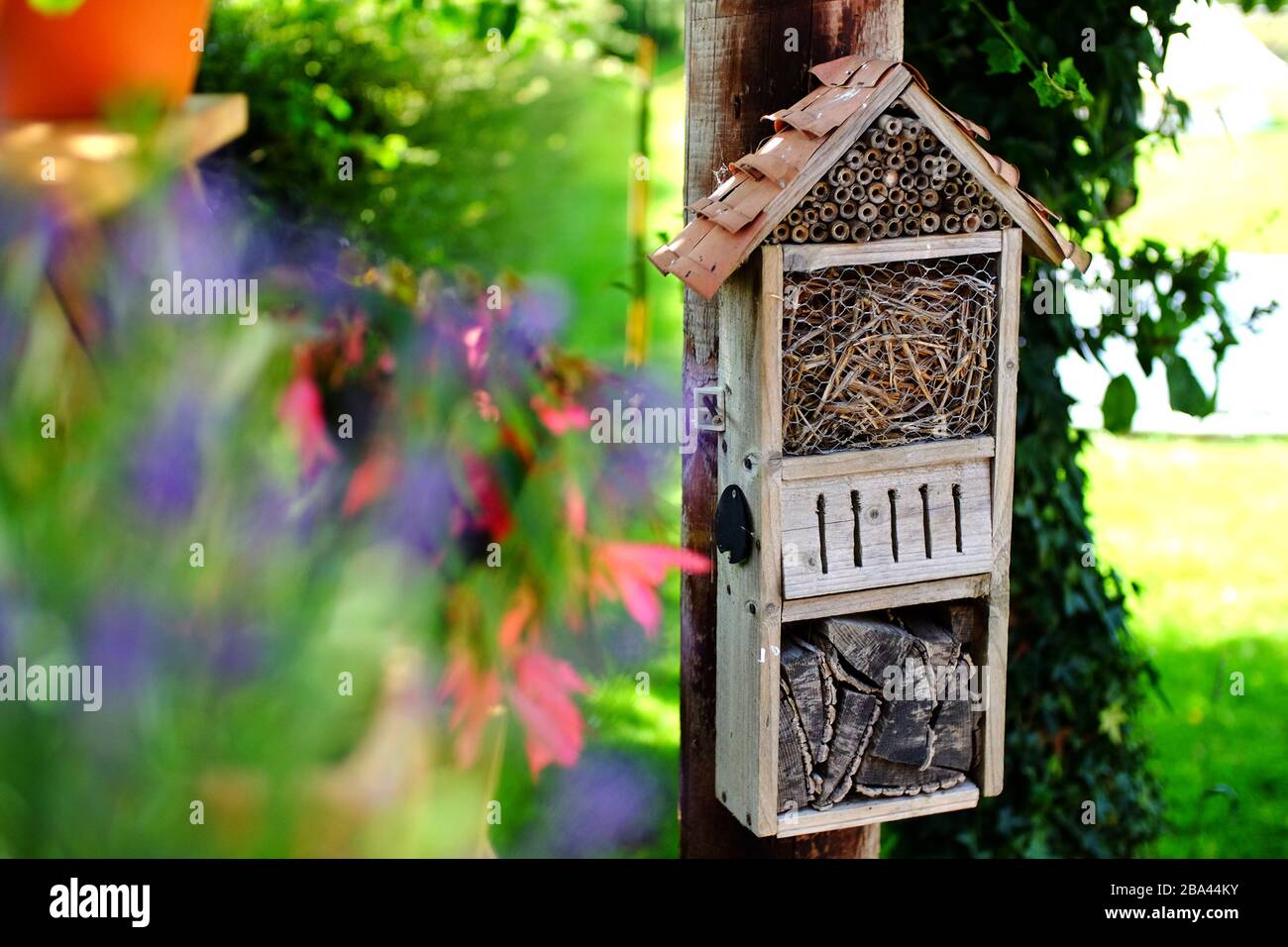 Hauseigenes Bug-Haus in einem Garten. Stockfoto