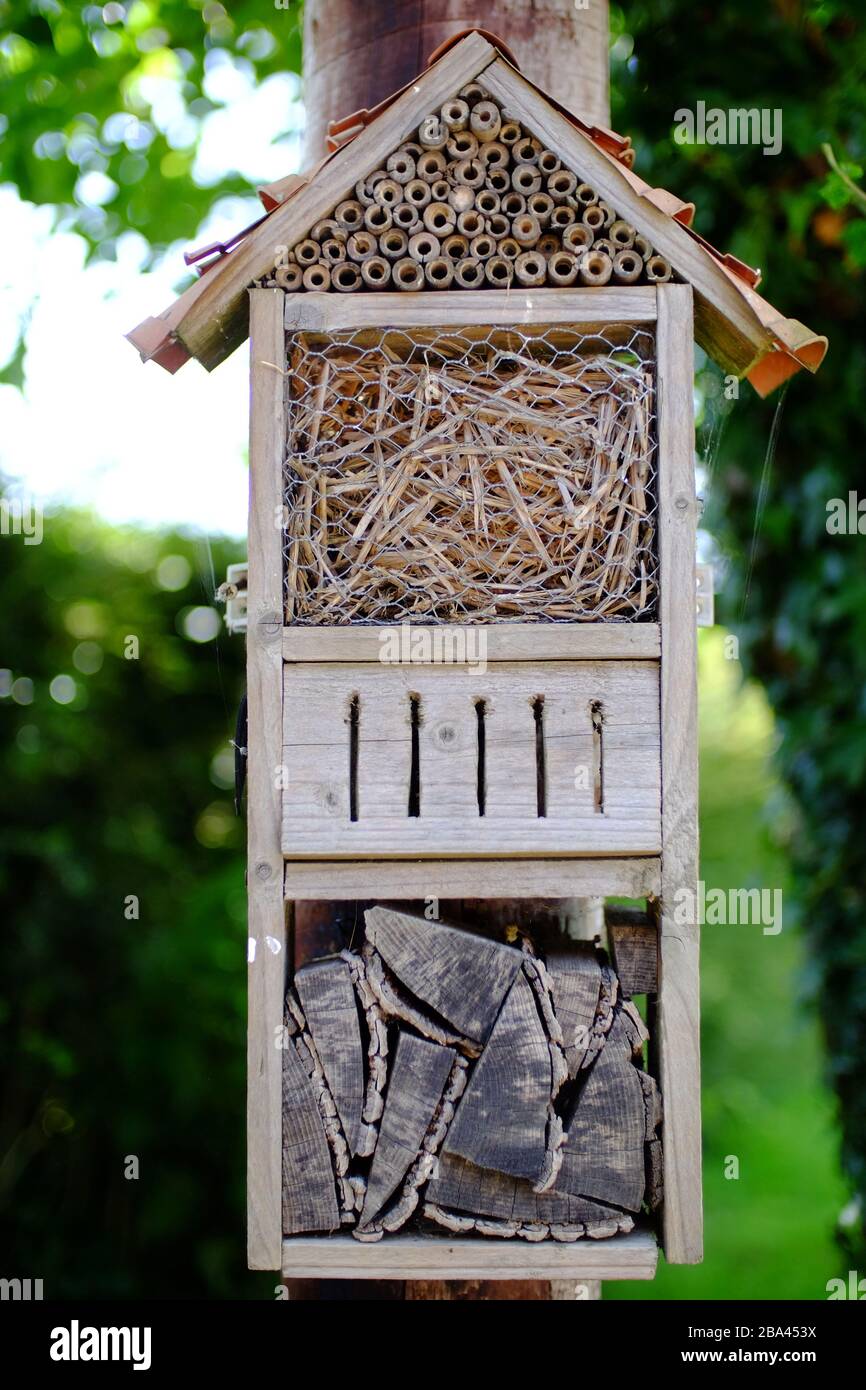 Hauseigenes Bug-Haus in einem Garten. Stockfoto