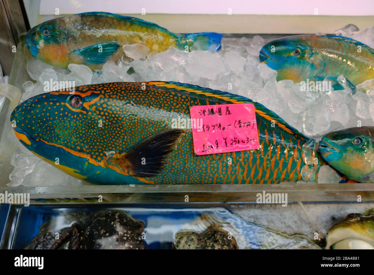 Okinawa Japan - Fischmarkt farbenfroher Parrotfisch Stockfoto