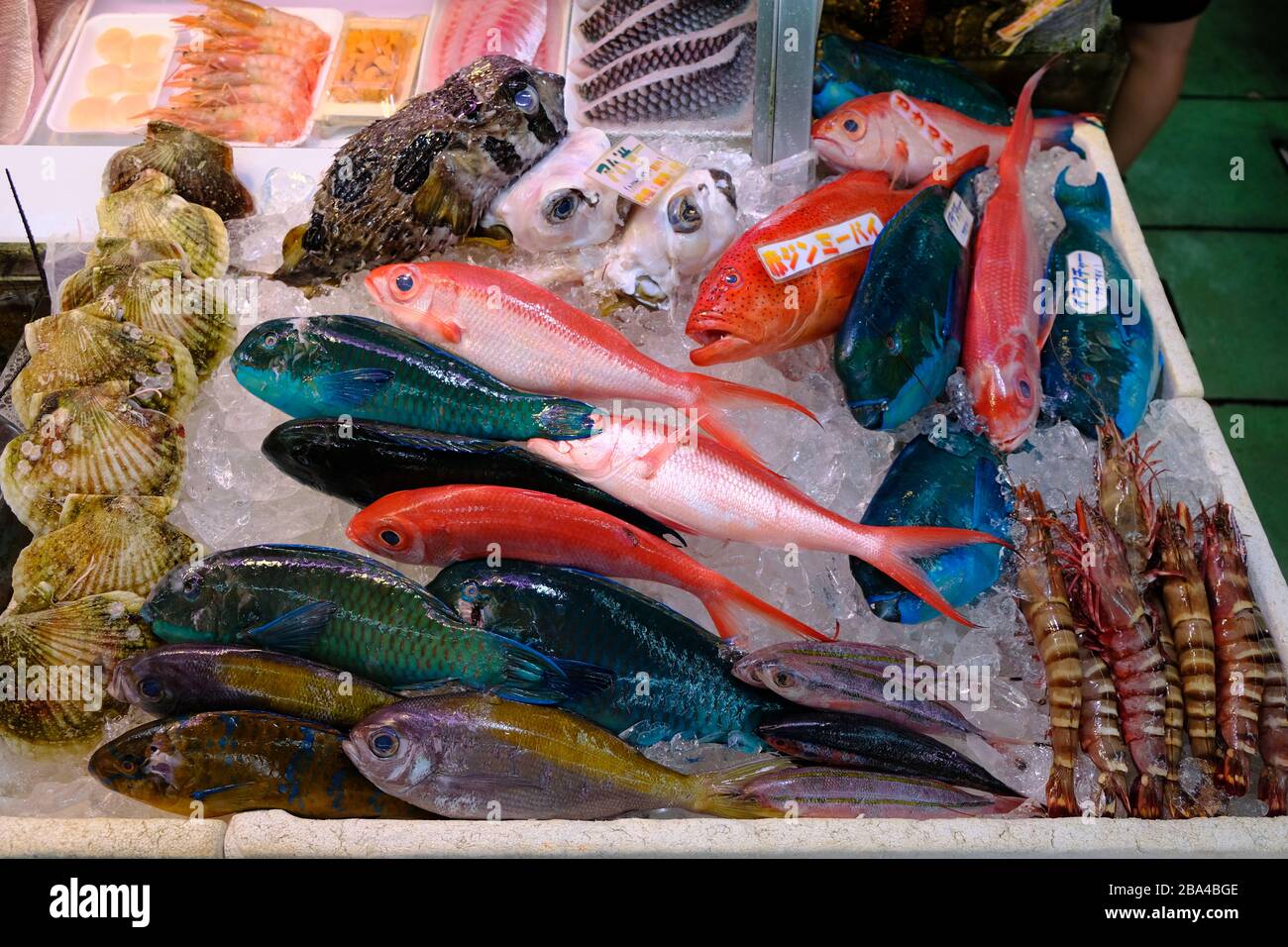 Okinawa Japan - Fischmarktvariation von Meeresfrüchten Stockfoto