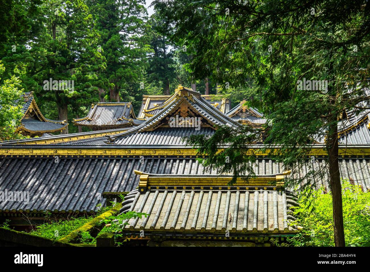 Dächer des Tosho-gu-Schreins in Nikko, einem Komplex aus dem 16. Jahrhundert, der Tokugawa Ieyasu, dem Gründer des Tokugawa-Shogunats, gewidmet ist Stockfoto