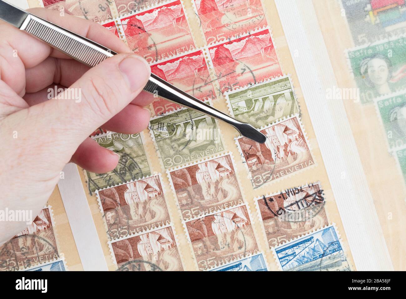 SEATTLE, WASHINGTON - 22. März 2020: Nahaufnahme der Handhalterzangen, Entfernen der alten Schweizer Briefmarke aus dem vollen Aktienbuch. Stockfoto