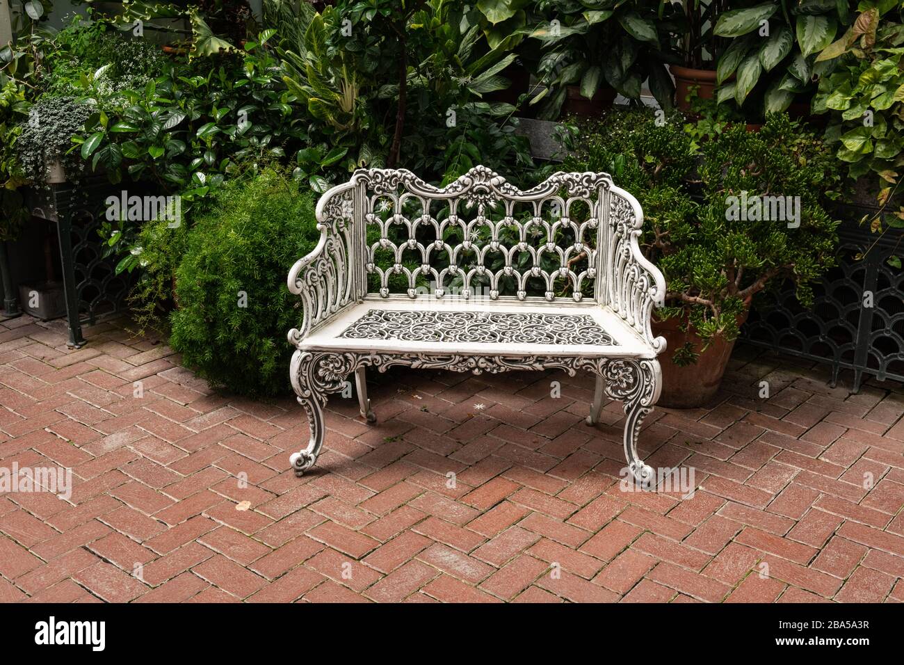 Asheville, North Carolina - 24. Juli 2019 - Bank unter tropischen Pflanzen für Besucher im Inneren des Gartenkonservatoriums. Stockfoto