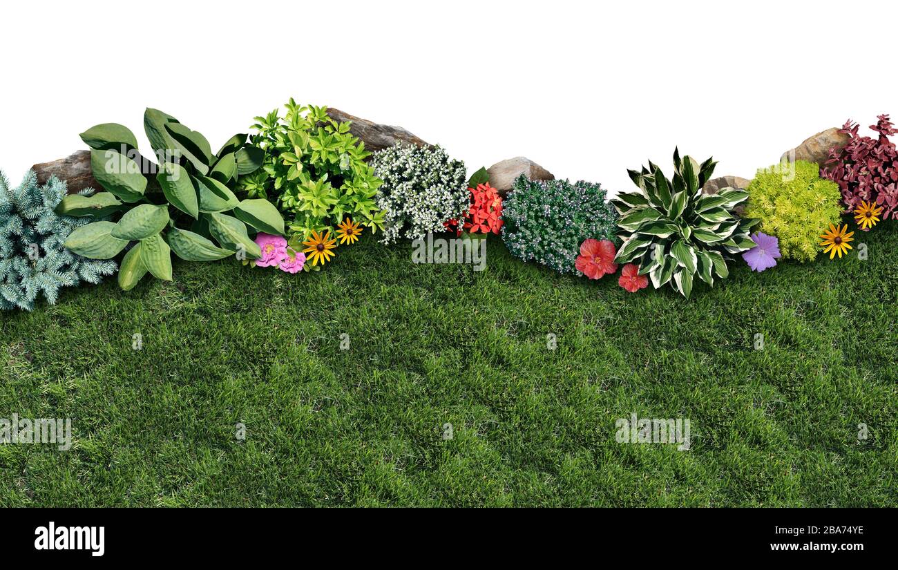 Garten- und Gartenlandschaft und Landschaftsgestaltung gestalten sich als mehrjähriger Rasen mit Blumenbeet und Zierpflanzen in einem dekorativen Landschaftsgarten. Stockfoto