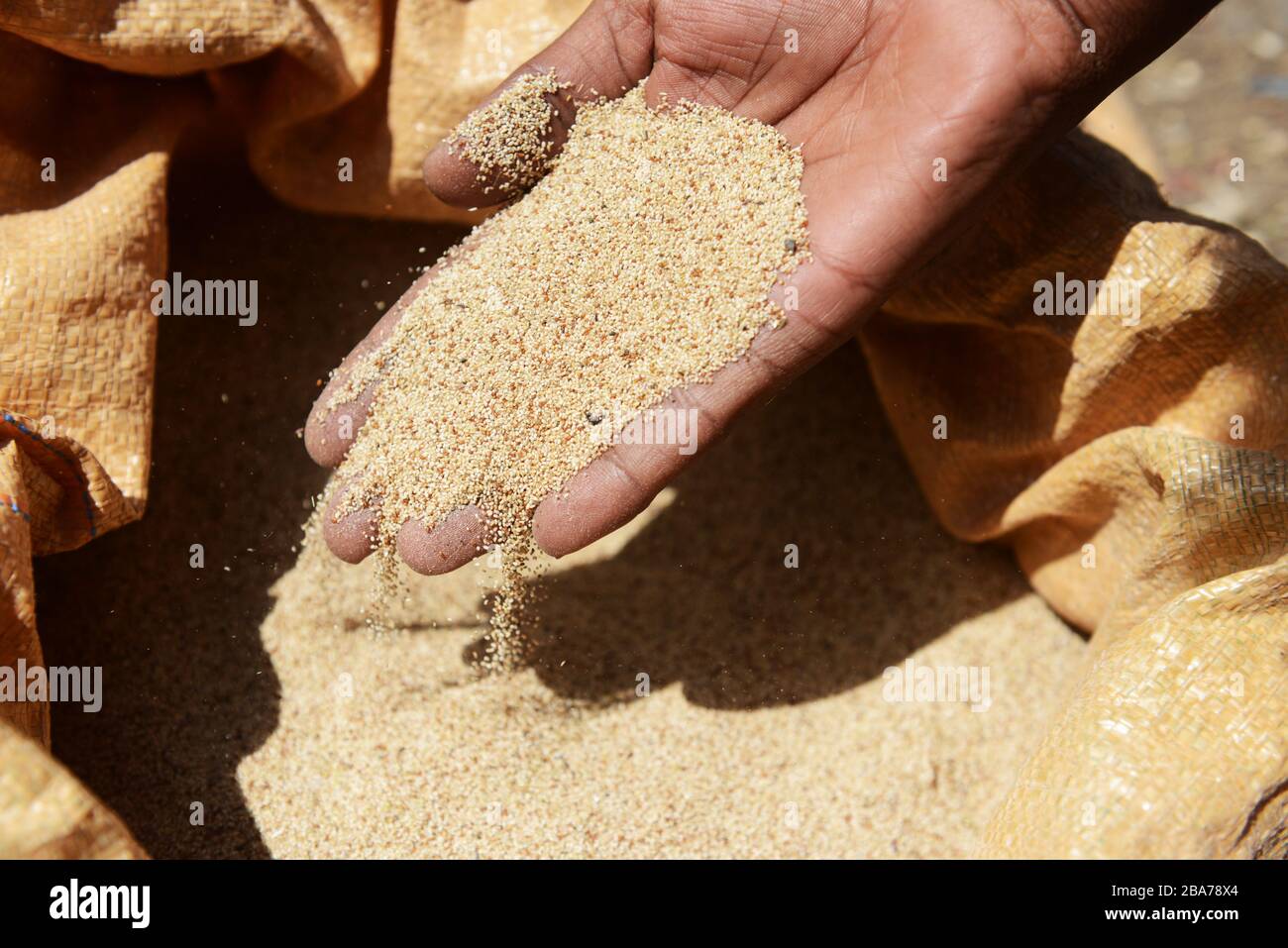 Teffkörner, die am Waliso Marekt in Oromia, Äthiopien, verkauft werden. Stockfoto