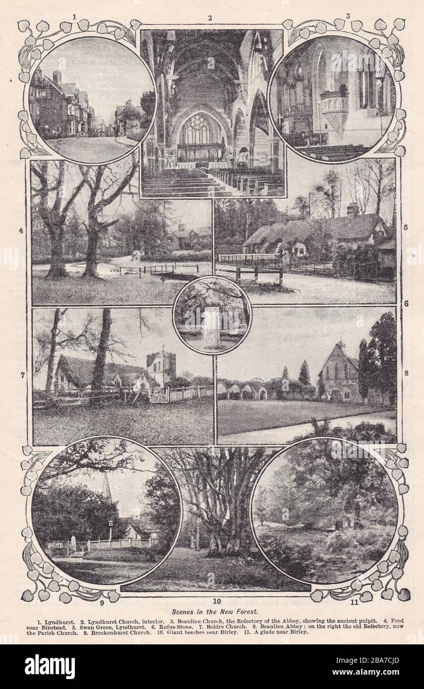 Vintage Schwarzweißfotos von Szenen im New Forest, Großbritannien, 1900s. Stockfoto