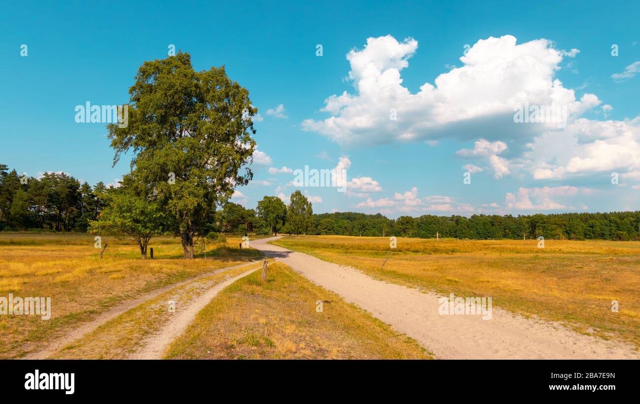 Idyllischer Panoramablick mit Wanderweg im norddeutschen Naturpark lüneburgische Heide. Idyllischer Panoramaweg mit Wanderweg Stockfoto