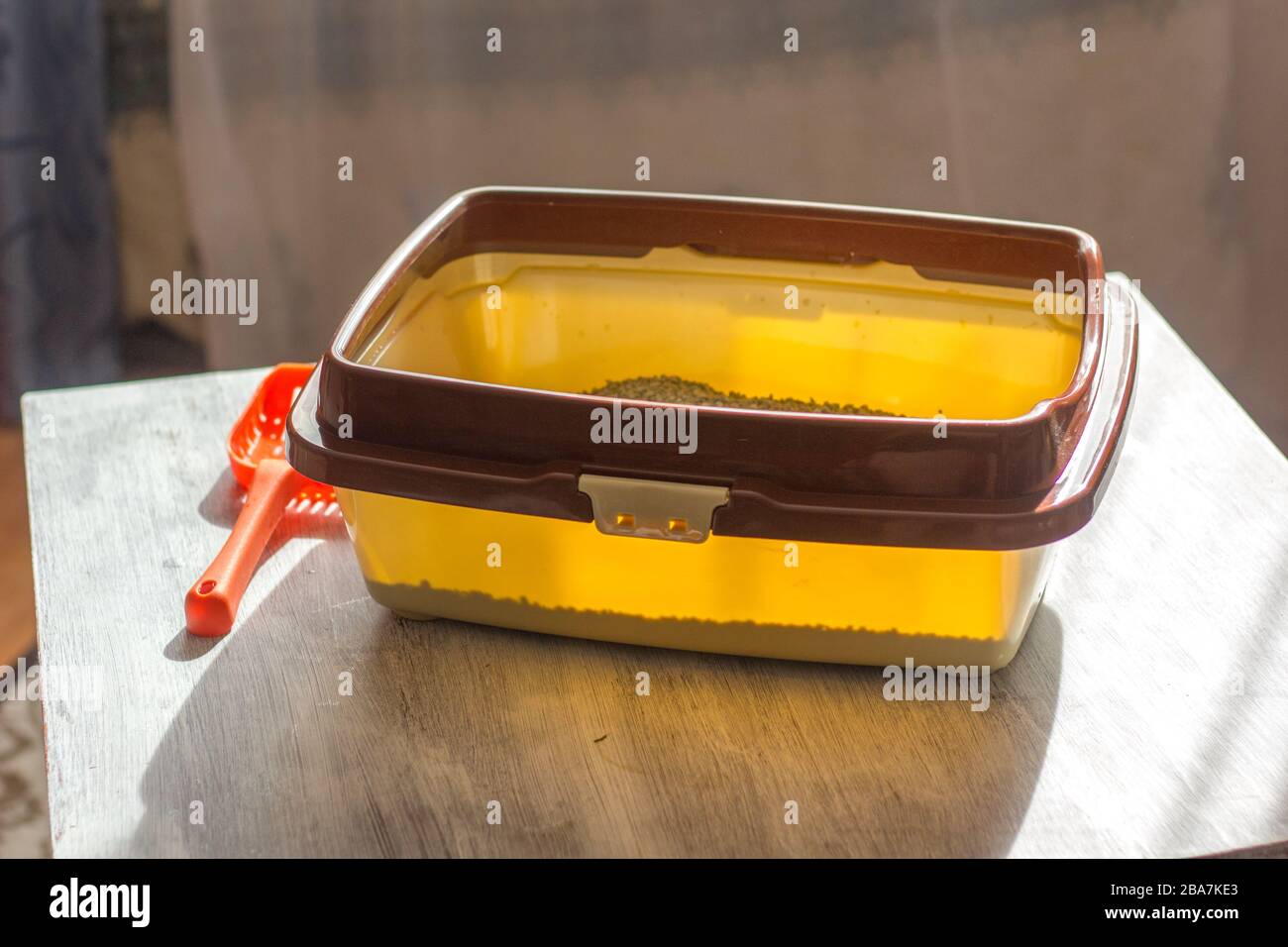 Eine braune und gelbe Farbe der katzenkoilette Stockfoto