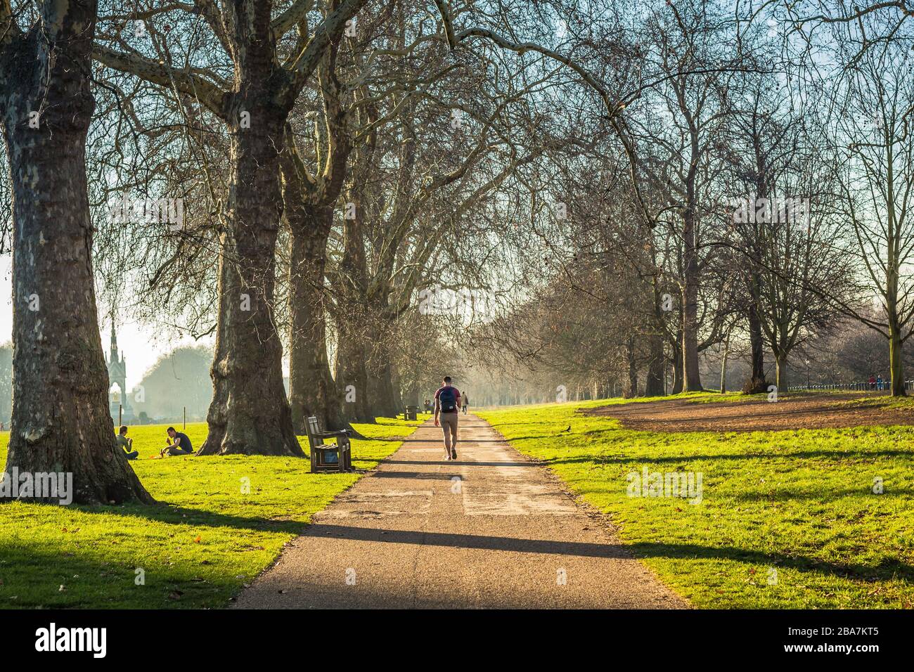 Unerkennbares junges Männchen, das durch einen Park geht, von hinten geschossen. Stockfoto