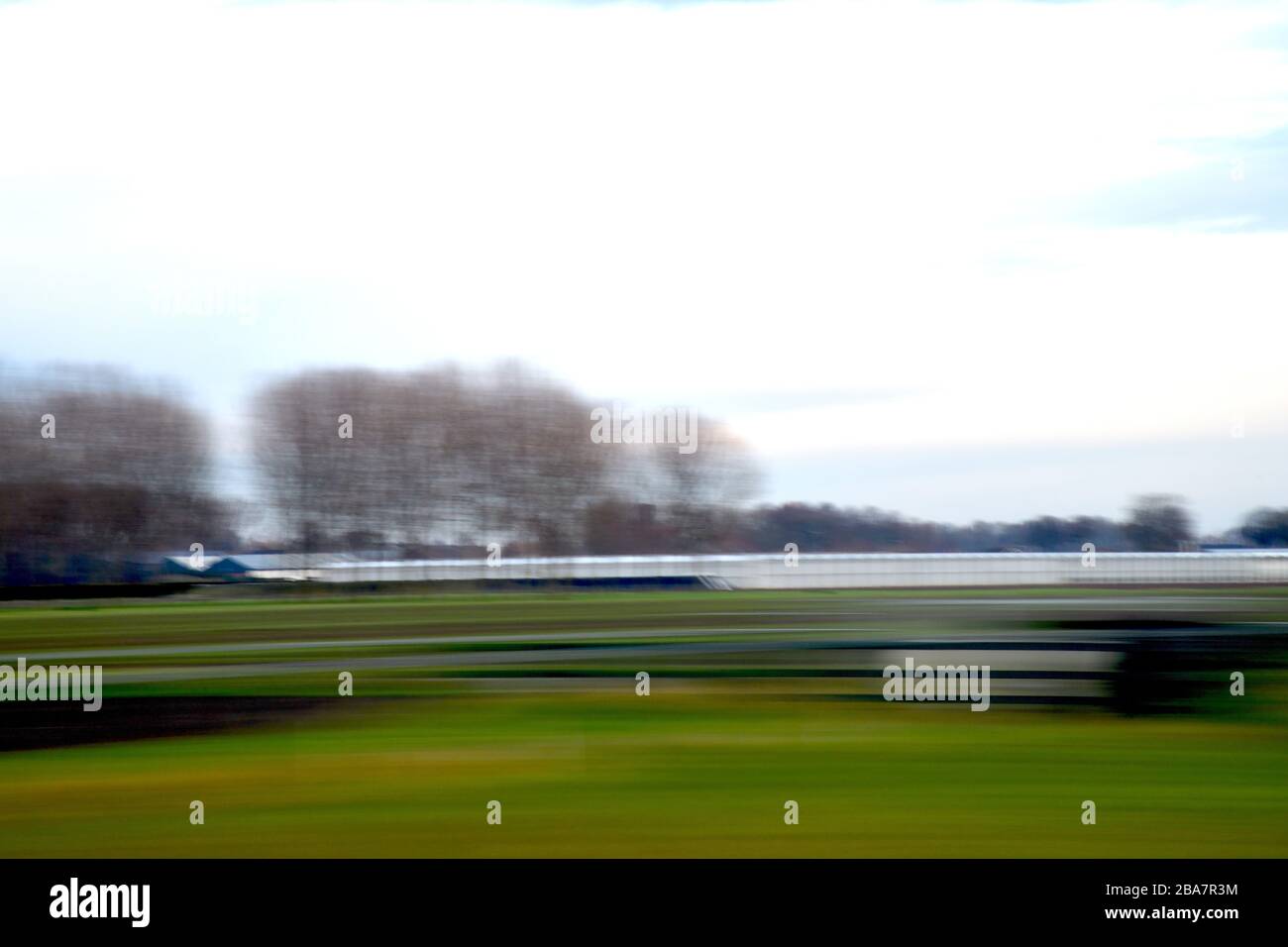 Verschwommene Agrarlandschaft; aus dem Hochgeschwindigkeitszug mit schön aneinander gereihten Baumreihen mit Bewegungsunschärfe, die eine abstrakte etwas finstere Form verleihen Stockfoto